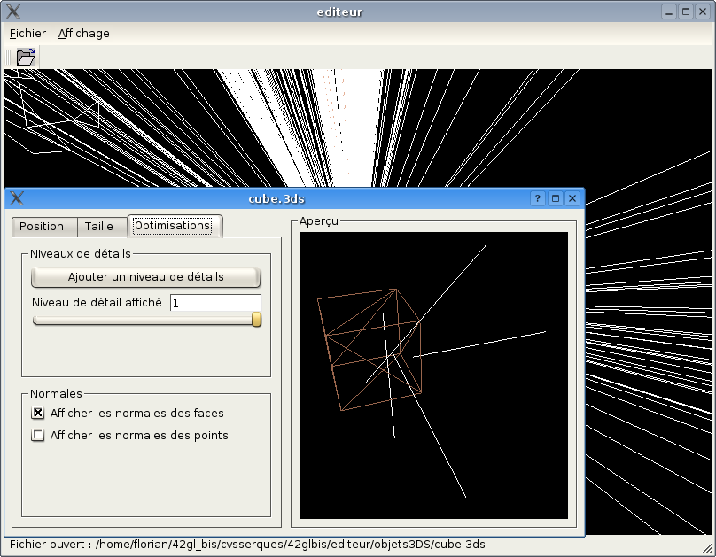 Normales affiches dans n'importe quelles directions sur les faces d'un cube