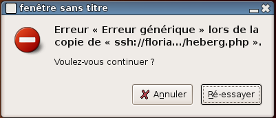 fentre sans titre : Erreur  Erreur gnrique  lors de la copie de ... . Voulez vous continuer ? Annuler | Ressayer